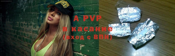 дмт Богданович