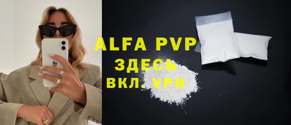 дмт Богданович