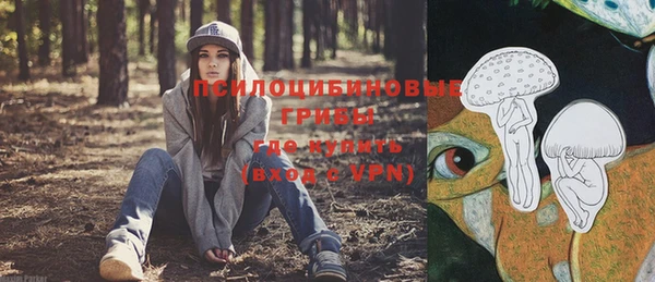 марки nbome Богородицк