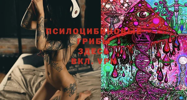 дмт Богданович